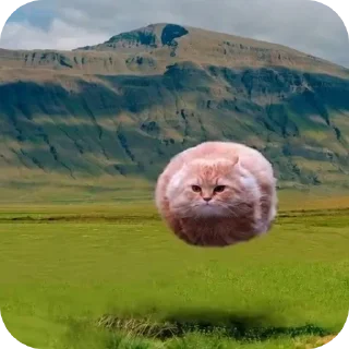 Video sticker ⛰ Tiktoker universal set