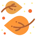 Video sticker 🍂 Осенний �...