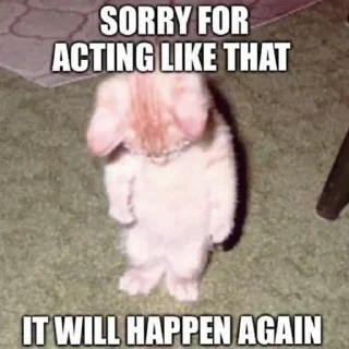 Video sticker 😔 EDEN