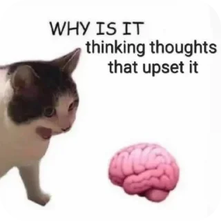 Telegram sticker 🐱 EDEN