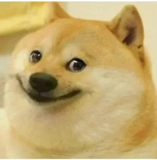 Video sticker 🙂 @Krish_Bruda Fav Stickers ✨ — @stckrRobot