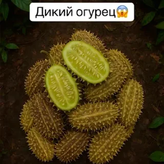 Telegram stiker 🥒 Больше стиков тут: @stikery4
