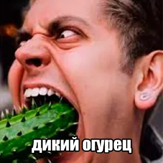 Telegram stiker 🥒 Больше стиков тут: @stikery4