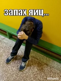 Video sticker 🤩 Создать Стикеры 👉@EmojiCatalogbot