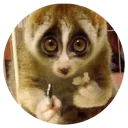 Телеграм стикер 🙀 💁  Feminism Pack @stickersb2b