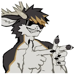 Video sticker 😎 Kyzer