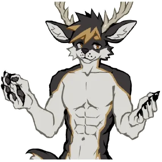 Video sticker 🤷‍♂️ Kyzer