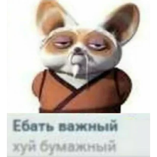 Video sticker 🧐 Favorite stickers by @fStikBot