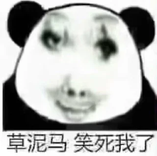 Video sticker 🌟 无聊龙图