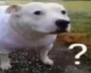 Телеграм стикер 📮 reaction images