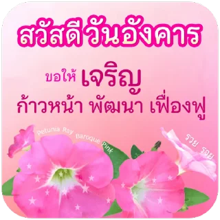 Video sticker ⭐ @JKSSTIK30