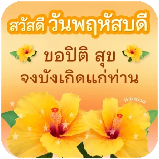 Video sticker ⭐ @JKSSTIK30