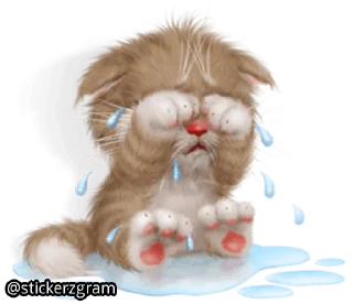 Телеграм стикер 😢 @englishchatz Meow