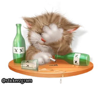 Телеграм стикер 🤭 @englishchatz Meow