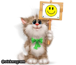 Телеграм стикер 😀 @englishchatz Meow