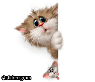 Телеграм стикер 👀 @englishchatz Meow