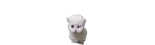 Video sticker 🌟 дебилойды | @m666wer :: @fStikBot