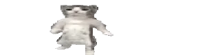 Video sticker 🐈 дебилойды | @m666wer :: @fStikBot