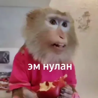 Video sticker 🤨 пон пон @lizochek05