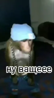 Video sticker 😎 пон пон @lizochek05