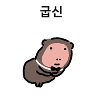 Video sticker ⭐ 숭늉이는 원숭이 @moe_sticker_bot