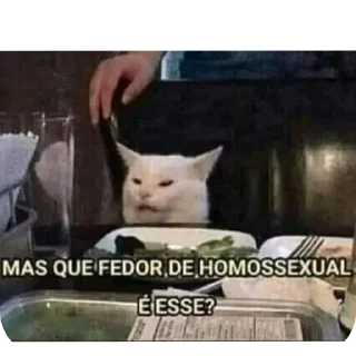 Телеграм стикер 🐱 Compilado 03 :: @fStikBot