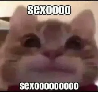 Telegram sticker 😈 lixeira da maribela