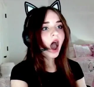 Video sticker 😯 🦭🦭🦭🦭🦭🦭