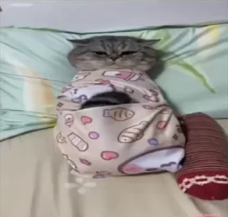 Video sticker 🥰 @info_itachi