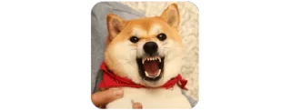 Telegram sticker 👾 M.A.F.M V2.0 @MYpl4ylist
