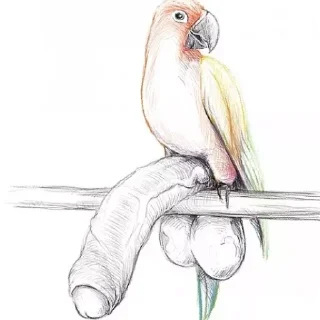 Video sticker ✋ Маи стикеры бубжидубжизуса 👊 @DayStikBot