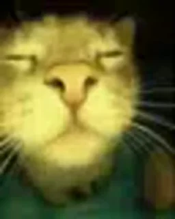 Video sticker 🕺 Video Favorite stickers :: @fStikBot