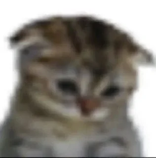 Video sticker 😔 Lasan