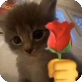 Telegram sticker ❤ Lasan