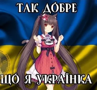 Video sticker 🇺🇦 Приехали @Packek