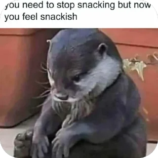 Телеграм стикер 🫥 Memememem