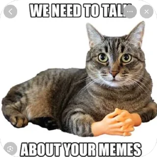Video sticker 🫥 Memememem