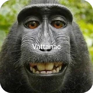 Телеграм стикер 🫥 Memememem