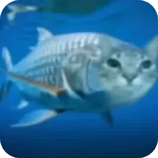Video sticker 🙂 mostafa_RX7: عشوائياتي)