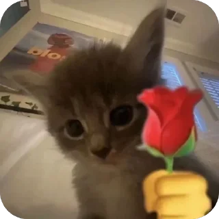 Telegram sticker 🫥 mostafa_RX7: عشوائياتي)