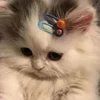 Video sticker 🐱 Стик @idkraya ...