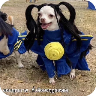 Telegram sticker 🧧 gift.truemoney.com