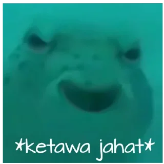 Telegram sticker 😈 PunyaKaney01