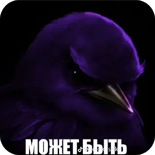 Video sticker 🌸 Вряд ли 4 @zatmenienochi