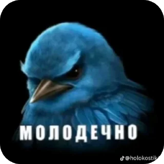 Телеграм стикер 👍 Вряд ли 4 @zatmenienochi