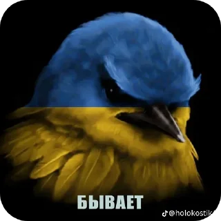 Телеграм стикер 🐦 Вряд ли 4 @zatmenienochi
