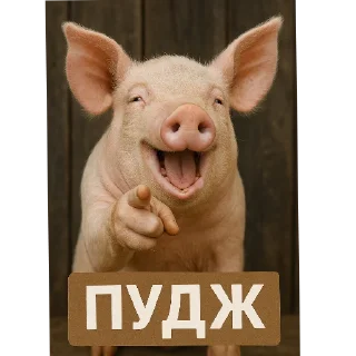 Telegram sticker 👂 Delicious Kiwi :: @fStikBot