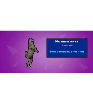 Video sticker 👍 Delicious Kiwi :: @fStikBot