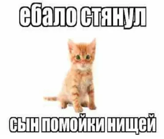 Video sticker 🤍 Больше стиков тут: @stikery4