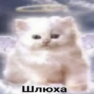 Telegram sticker 🤍 Больше стиков тут: @stikery4